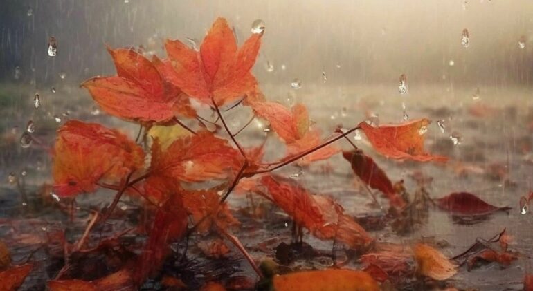 философские стихи Средь увядающих красот